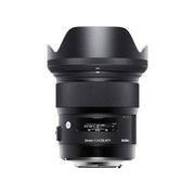 https://m.media-amazon.com/images/I/51TRnG3Ec3L._SX679_.jpg