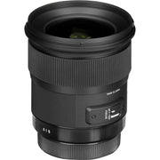 https://m.media-amazon.com/images/I/61aPVZWIkuS._SL1200_.jpg
