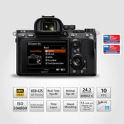 https://m.media-amazon.com/images/I/81vQst9IHDL._SL1500_.jpg