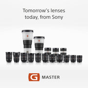 Sony E Mount FE 24-70mm F2.8 GM Full-Frame Lens