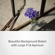 Sony E Mount FE 50mm F1.8 Full-Frame Lens (SEL50F18F) | Standard Prime | for Soft Bokeh