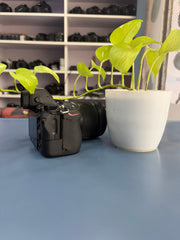Nikon Z6 Mirrorless Camera with NIKKOR Z 24-70mm f/4 S Lens | Full-Frame | SK390