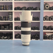 c) Sony FE 70-200mm f2.8 GM – Professional Sports & Wildlife Lens