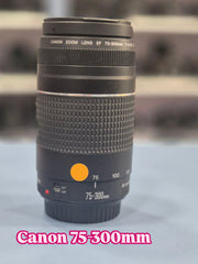 c) Canon EF 75-300mm f/4-5.6 – Wildlife & Sports Lens