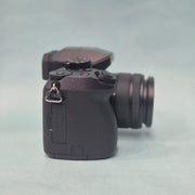 b) Panasonic Lumix G7 with 14-42mm Lens | 4K Mirrorless Camera SK264