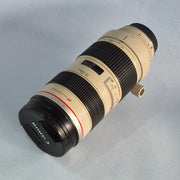 Canon EF 70-200mm NON IS 2.8 L Ultrasonic lens AS31