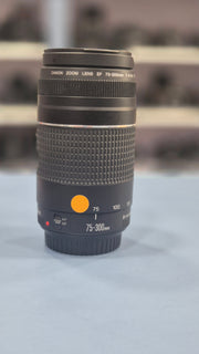 c) Canon EF 75-300mm f/4-5.6 – Wildlife & Sports Lens