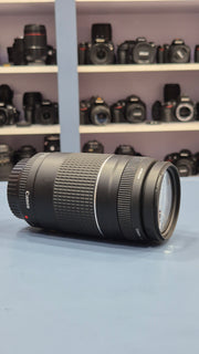 c) Canon EF 75-300mm f/4-5.6 – Wildlife & Sports Lens