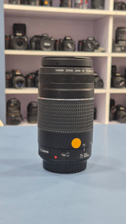 c) Canon EF 75-300mm f/4-5.6 – Wildlife & Sports Lens