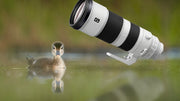 Sony FE 200-600mm f/5.6-6.3 G OSS Lens | Full-Frame Super Telephoto Zoom | OSS Stabilization | Wildlife • Birding • Sports Photography