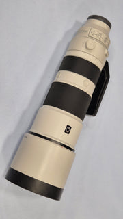 c) Sony FE 200-600mm f/5.6-6.3 G OSS – Super Telephoto G Lens | Wildlife & Sports Photography | Fast Autofocus | Optical SteadyShot | E-Mount